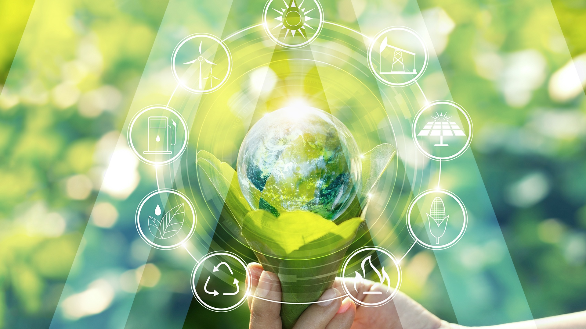 Grafika klua ziemska i ekologia