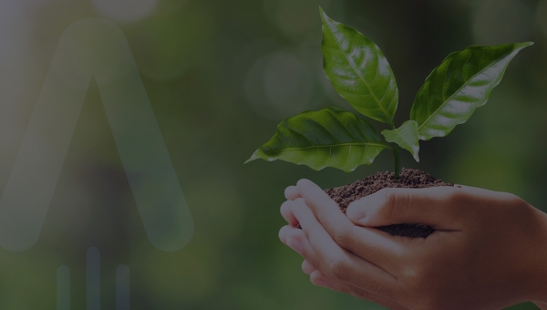 Blog miniatura Niższe rachunki za energię elektryczną<br>- czy to w ogóle możliwe?